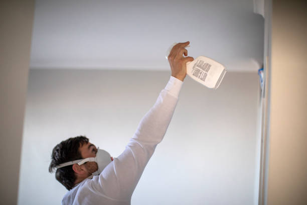 Best Mold Damage Repair  in Brownsville, LA